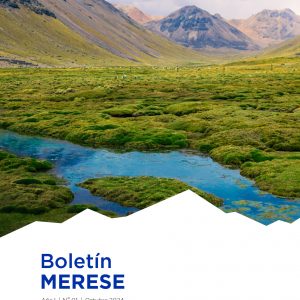 BOLETIN MERESE PORTADA